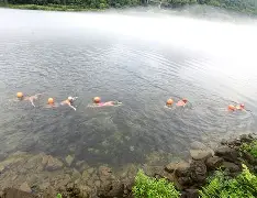 开云app -排球大师赛掀起高潮，江畔白虎队强势反弹皖江天狼队，高压逼抢奏功——重拾自信的夜晚的简单介绍
