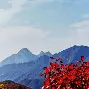  二四年奥运会射击比赛中国队ciji 