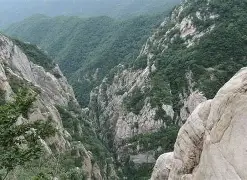  二四年奥运会射击比赛中国队ciji 