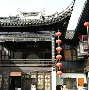开云官方 -姑苏雄鹿队击败江汉雄鹿队，柔道巡回赛上演裁判判罚引热议！技战术储备厚实(巨鹿路万圣节事件)